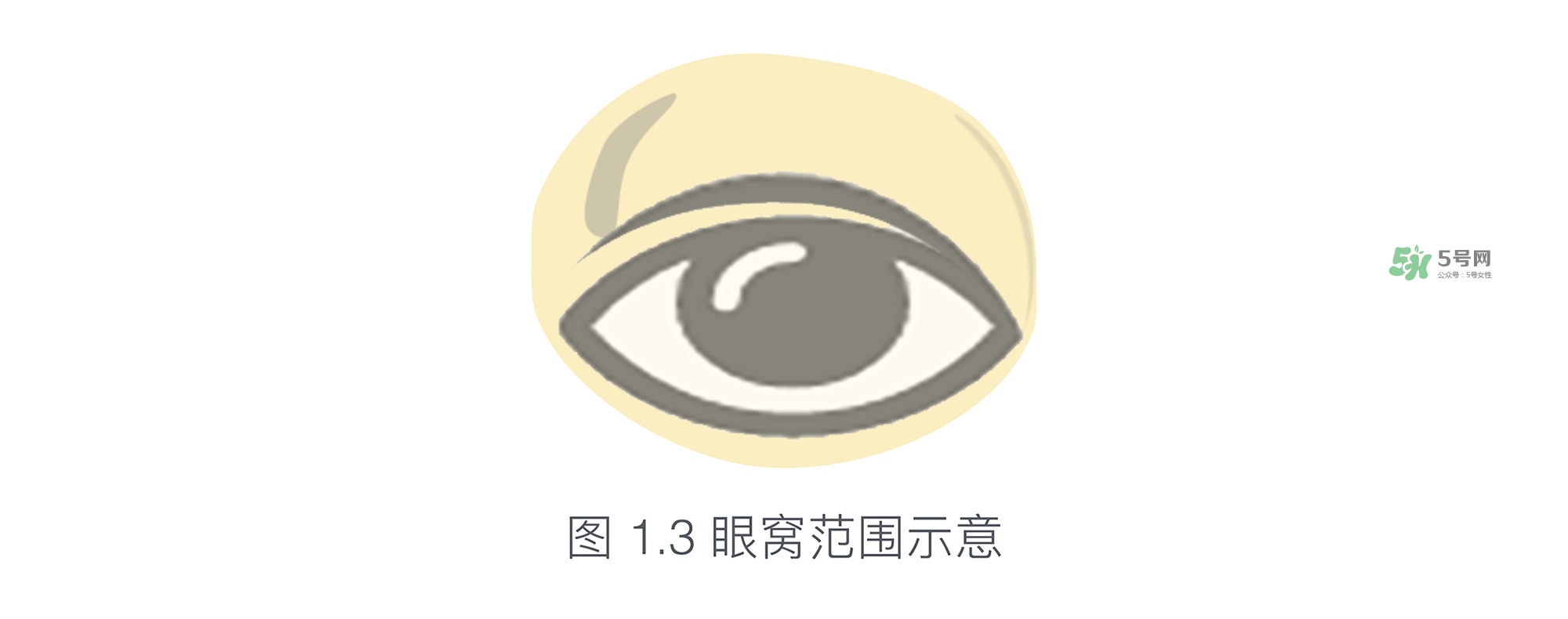 內(nèi)雙眼妝畫(huà)法及步驟圖片 日常內(nèi)雙眼妝的畫(huà)法