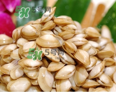 海瓜子怎么養(yǎng)？如何挑選海瓜子
