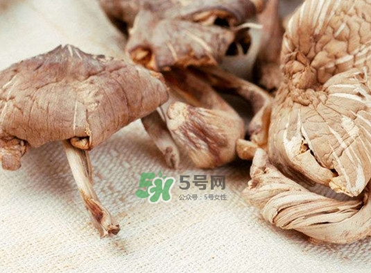 雞樅菌怎么讀？雞樅菌怎么做好吃？