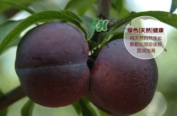 黑布林什么時候吃最好？黑布林什么人不能吃？