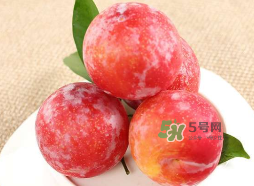紅布林孕婦可以吃嗎？孕婦可以吃紅布林嗎？