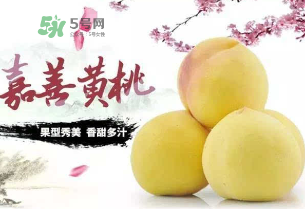 嘉善黃桃多少錢一斤？嘉善黃桃的上市時(shí)間