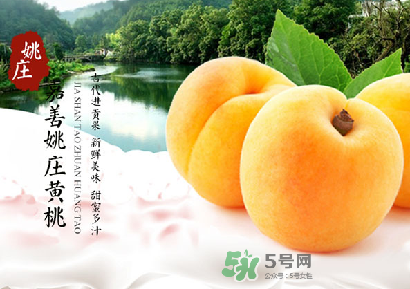 嘉善黃桃多少錢一斤？嘉善黃桃的上市時(shí)間