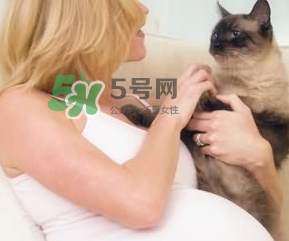 孕婦被貓抓了怎么辦？孕婦被貓抓傷了對(duì)寶寶有什么影響？