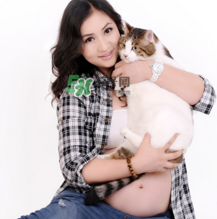 孕婦被貓抓了怎么辦？孕婦被貓抓傷了對(duì)寶寶有什么影響？