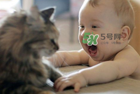 嬰兒被貓抓了怎么辦？嬰兒被貓咪咬了怎么辦？