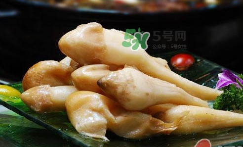 雞樅菌什么時(shí)候有？雞樅菌生長(zhǎng)在什么地方
