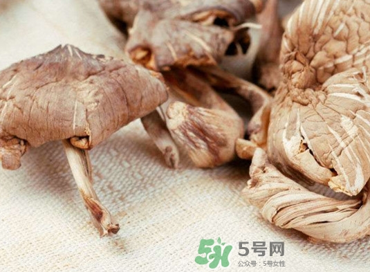 雞樅菌有毒嗎？雞樅菌不能和什么一起吃？
