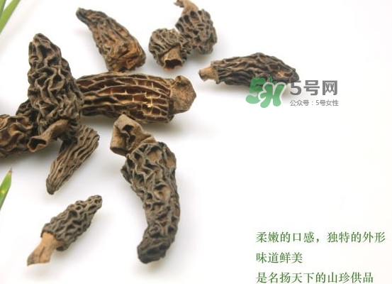 野生羊肚菌多少錢一斤？干羊肚菌多少錢一斤