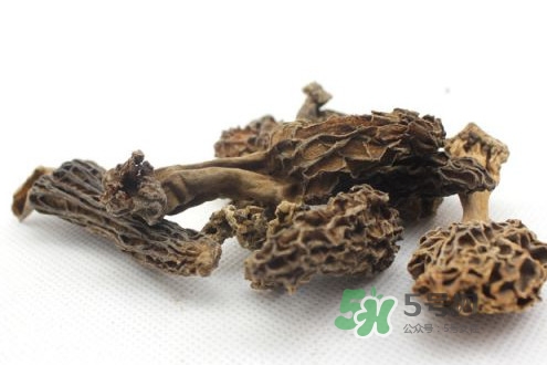 羊肚菌能治什么??？羊肚菌能冷凍保鮮嗎
