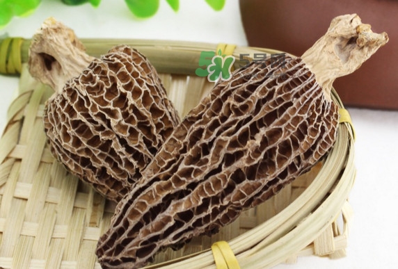 羊肚菌為什么那么貴？羊肚菌為什么這么貴