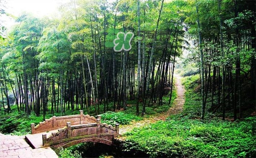 夏天去哪里旅游最好？夏天旅游哪里涼快？