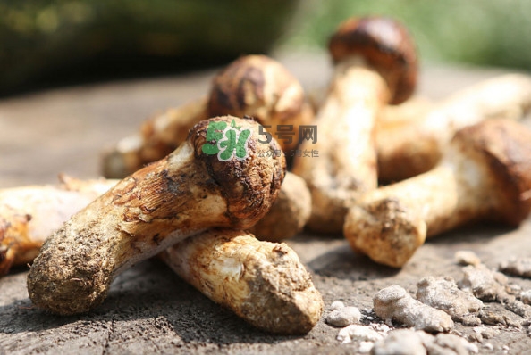 新鮮松茸怎么吃？松茸怎么吃最有營養(yǎng)