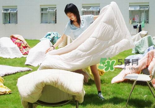 三伏天能曬被子嗎？三伏天曬被子好嗎？