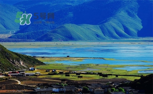 夏天去哪里旅游最好？夏天旅游哪里涼快？