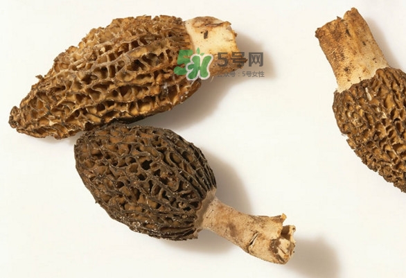 羊肚菌可以泡茶喝嗎？羊肚菌可以生吃嗎