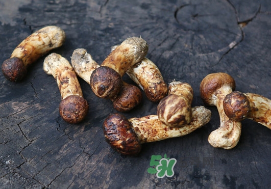 新鮮松茸怎么吃？松茸怎么吃最有營養(yǎng)