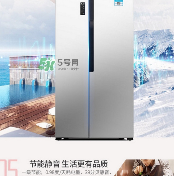 冰箱究竟該買(mǎi)幾個(gè)門(mén)的？什么牌子的冰箱最好