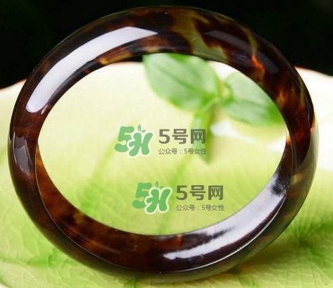 玳瑁是什么？玳瑁是國(guó)家保護(hù)動(dòng)物嗎？