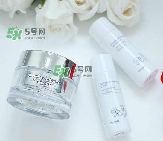 vinistyle是什么檔次？vinistyle怎么樣？