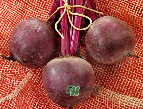 甜菜根是什么菜？甜菜根什么季節(jié)收獲