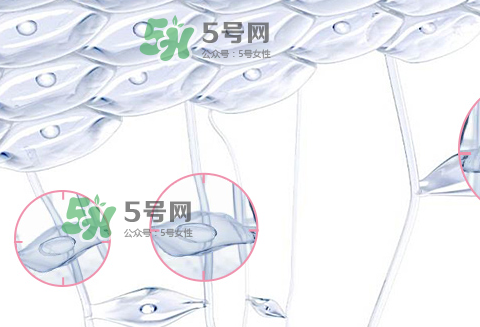 嬌韻詩青春賦活兩件套裝多少錢？嬌韻詩全新青春賦活系列怎么樣？