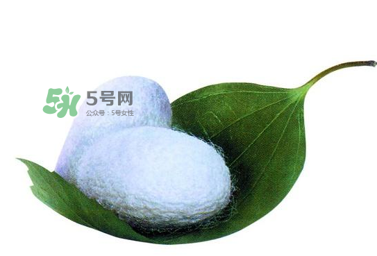 蠶繭多少錢(qián)一斤2017？2017年蠶繭價(jià)格是多少？