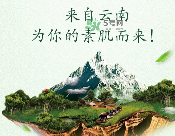 采之汲是什么牌子？采之汲是什么檔次？