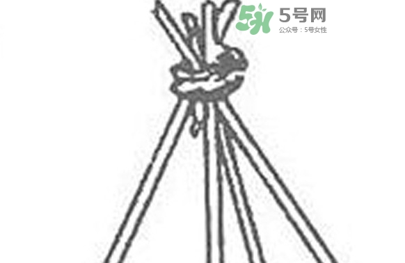 缸豆什么時(shí)候搭架？缸豆要怎樣搭架子