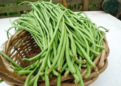 缸豆可以包餃子嗎？缸豆能放冰箱嗎