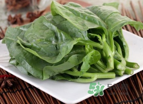 木耳菜和什么食物相克？木耳菜不能和什么一起吃