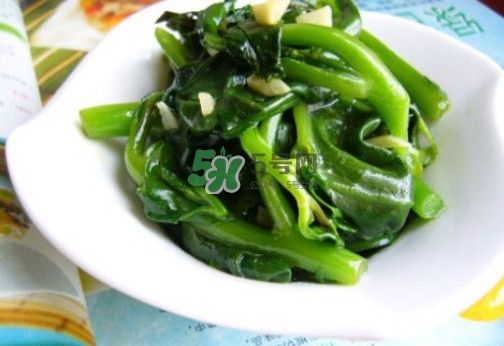 木耳菜是什么季節(jié)的菜？木耳和木耳菜有區(qū)別嗎