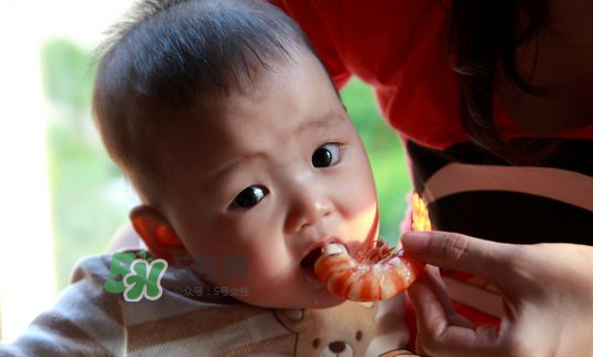 寶寶吃蝦不能和什么一起吃？寶寶吃蝦的注意事項
