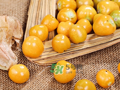 姑娘果怎么挑選？姑娘果產(chǎn)地在什么地方