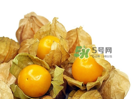 姑娘果怎么挑選？姑娘果產(chǎn)地在什么地方