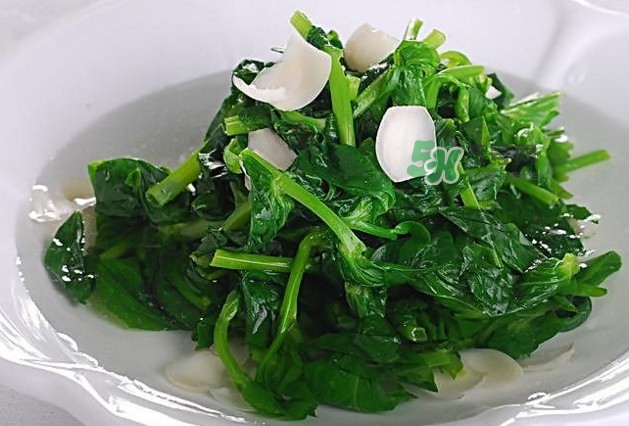 木耳菜是什么菜？木耳菜對(duì)人有哪些好處？