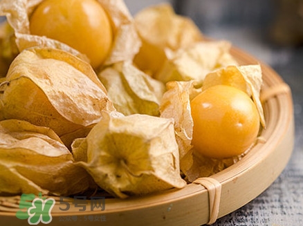 姑娘果可以直接吃嗎？姑娘果多吃有什么害處
