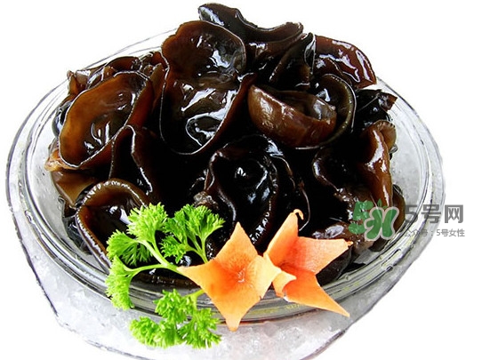 木耳菜是什么季節(jié)的菜？木耳和木耳菜有區(qū)別嗎