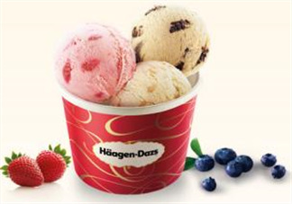 哈根達(dá)斯(H?agen-Dazs)柚子芝士蛋糕多少錢(qián)_好吃嗎？