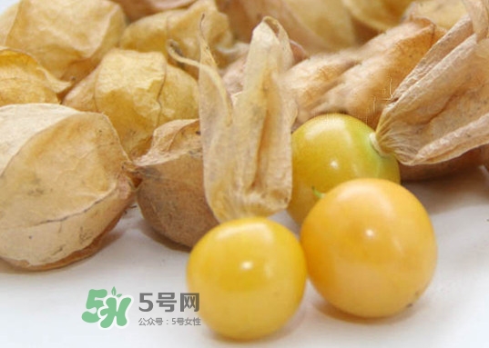 黃菇娘幾月種植？黃菇娘的種植注意事項(xiàng)