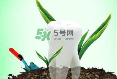 種植牙多少錢一顆？為什么種植牙很貴
