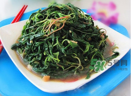 野莧菜怎么做好吃？野莧菜怎么保存
