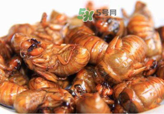 立秋后的知了還能吃嗎？立秋還有知了猴嗎？
