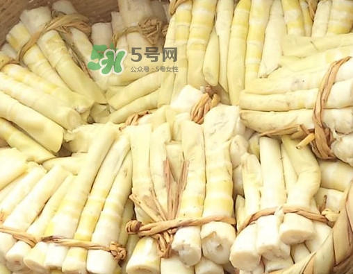 苦筍做法有哪些？苦筍怎么處理才不會(huì)苦