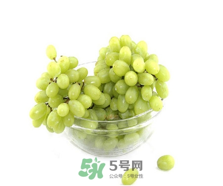 馬奶葡萄是提子嗎？馬奶葡萄怎么洗？