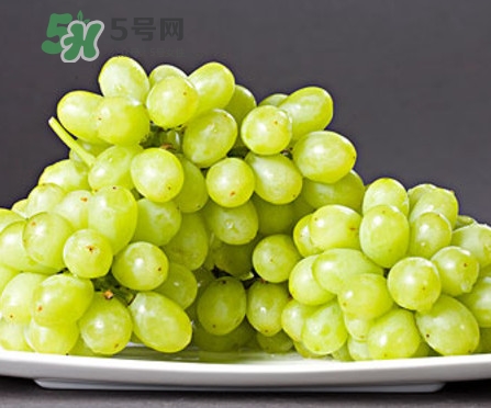 馬奶葡萄是只有新疆有嗎？綠馬奶葡萄為什么發(fā)澀