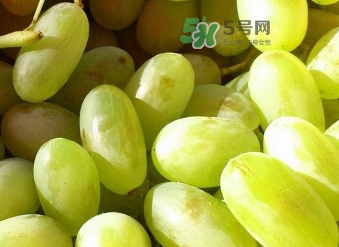 馬奶葡萄是提子嗎？馬奶葡萄怎么洗？