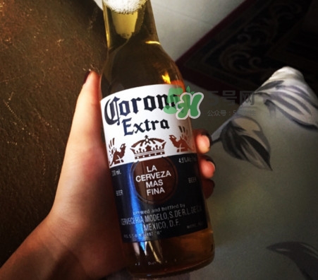 科羅娜啤酒多少度？科羅娜啤酒怎么樣