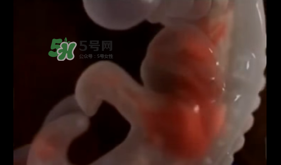 懷孕初期怎么保胎？陰道出血是流產(chǎn)征兆嗎？