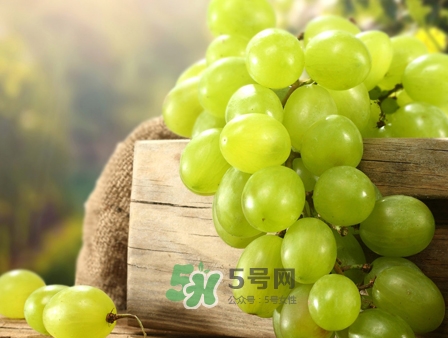 馬奶葡萄幾月成熟？吃馬奶葡萄有什么好處？